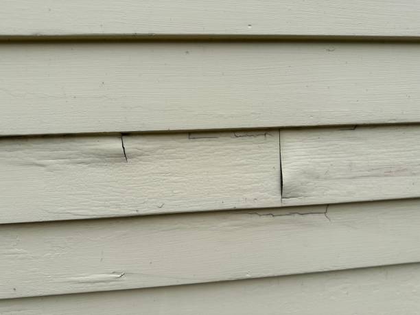 Best Aluminum Siding Installation  in Omaha, NE